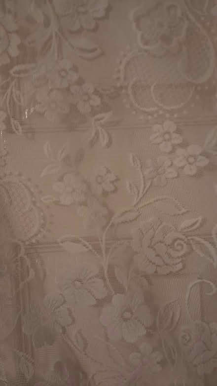 Photo of free Net Curtain (Ditton ME20) #2