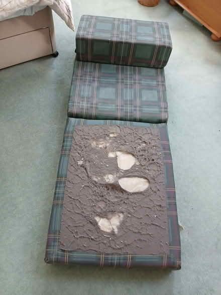 Photo of free Fold out chair/bed (Shepshed LE12) #2