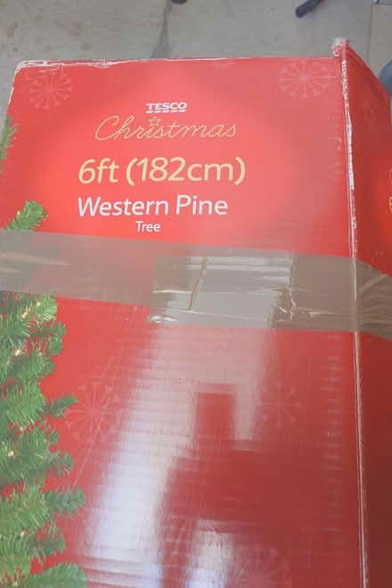 Photo of free Xmas tree Tesco 6 ft (Torquay) #2