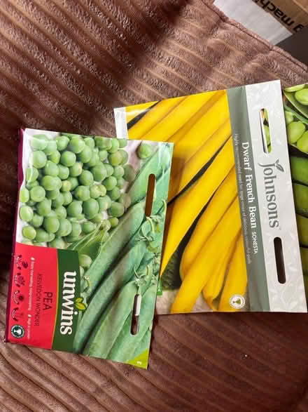 Photo of free Peas seeds (Priory Ward EX2) #1