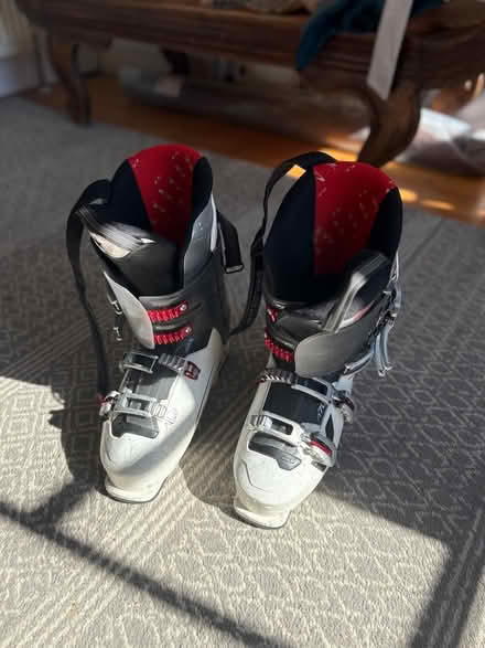 Photo of free Dalbello Men’s ski boots (Corstorphine, EH12) #1