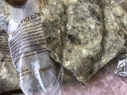 Photo of free Safe bird nesting wool (Selly Oak) #1