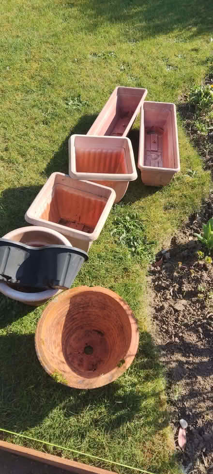 Photo of free Plant pots (Oulton Broad NR33) #1