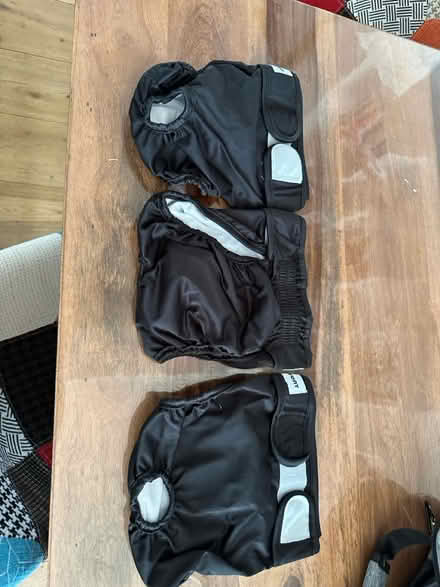 Photo of free Doggy diapers (W8, Kensington) #2