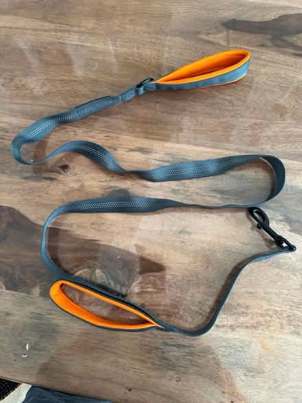 Photo of free Dog lead (W8, Kensington) #1