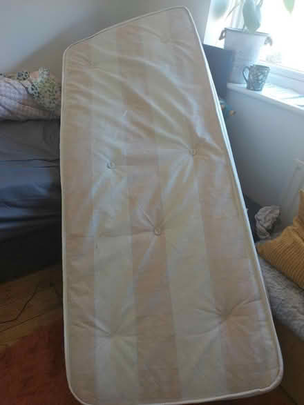 Photo of free Single mattress (Saltdean) #1