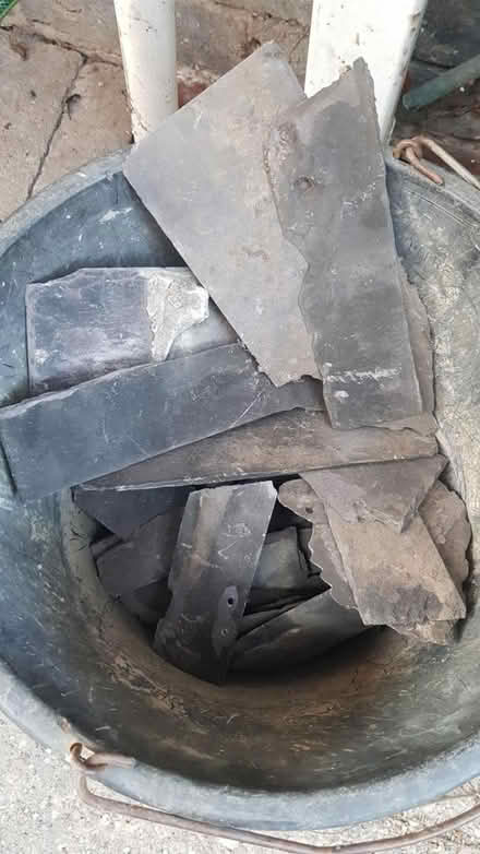 Photo of free Broken bits of slate (NG8 wollaton) #1