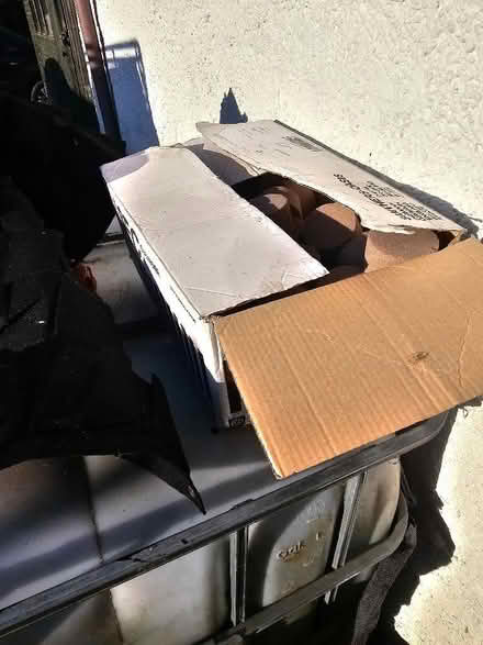 Photo of free Wallhanging seed growing plus Oasis cylinders (Sutton Courtenay OX14) #1