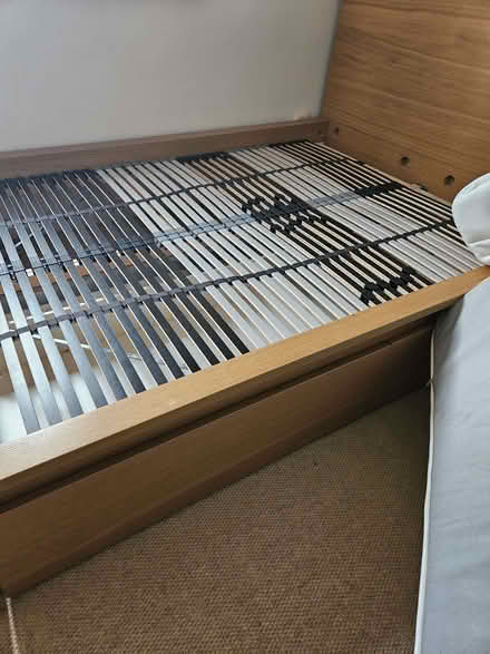 Photo of free Malm double bedframe (Wheatley OX33) #4