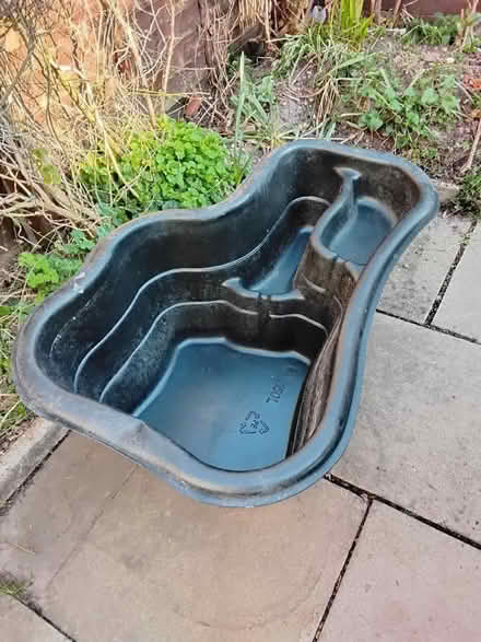 Photo of free Fish pond (Hednesford WS12) #1