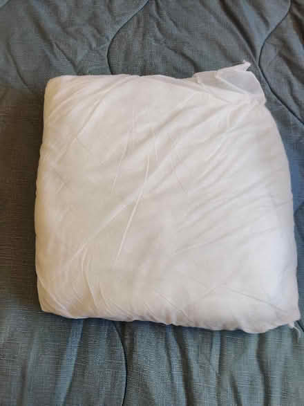 Photo of free Cushion (Burghfield Common RG7) #1
