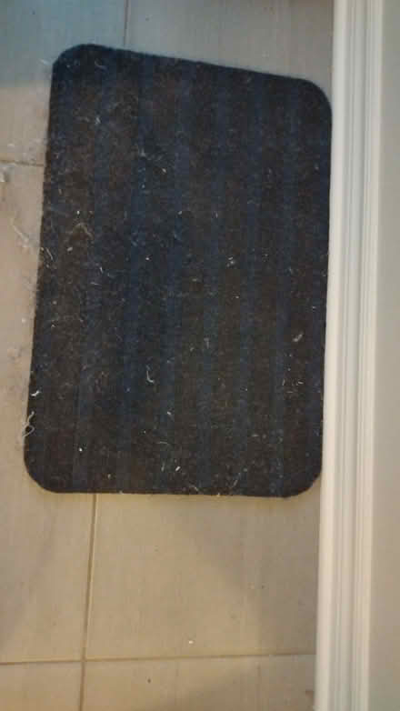 Photo of free Shoe mats + small rugs (Finley Creek) #4