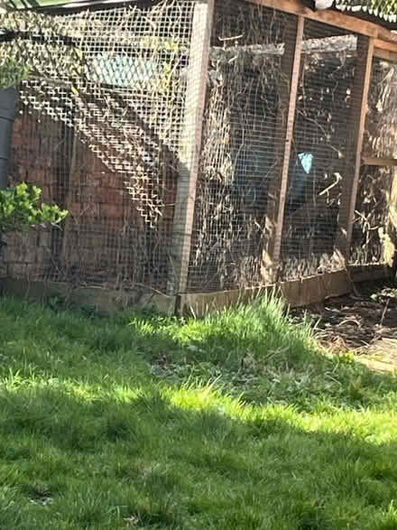 Photo of free Small animal enclosure materials (Derby, DE1) #1