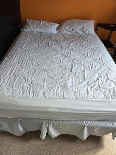 Photo of free Full size mattress pad (Del Ray) #1