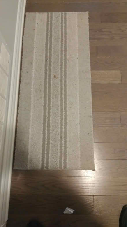 Photo of free Shoe mats + small rugs (Finley Creek) #3
