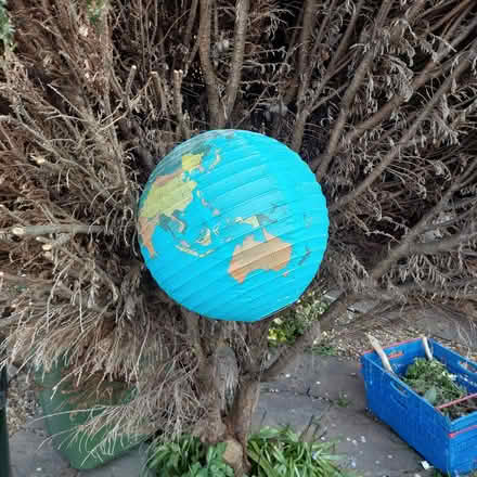 Photo of free Books (Milton PO4) #1