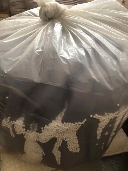 Photo of free Bean bag refills (Forest Hill SE23) #1