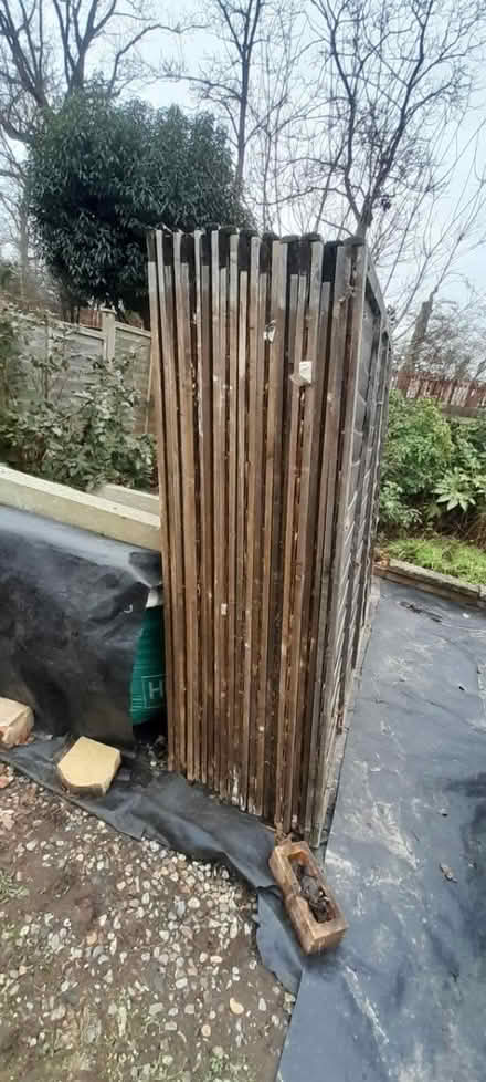 Photo of free 11 x Lap fence panels (Newmarket) #4