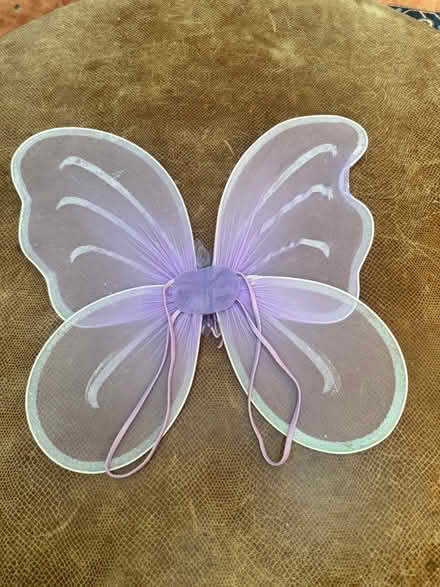 Photo of free Butterfly/Angel Wings (Fiesta gardens) #3