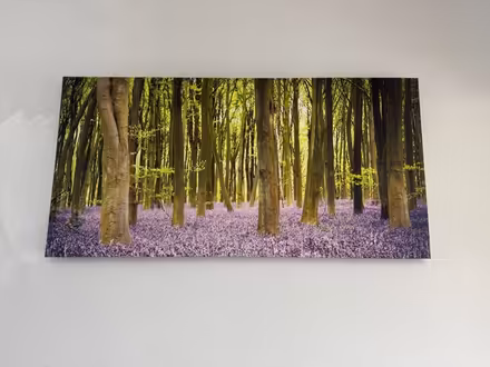 Photo of free Two prints (Dublin 18) #1