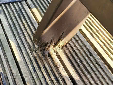 Photo of free Outdoor wooden two seater garden swing seat (Horwich BL6) #3