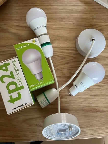 Photo of free Ceiling roses and bulbs (TF4) #1
