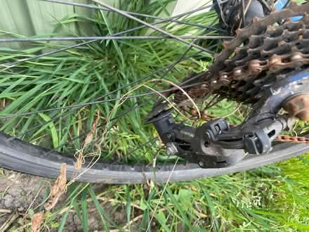 Photo of free Bike needs TLC (E5) #2