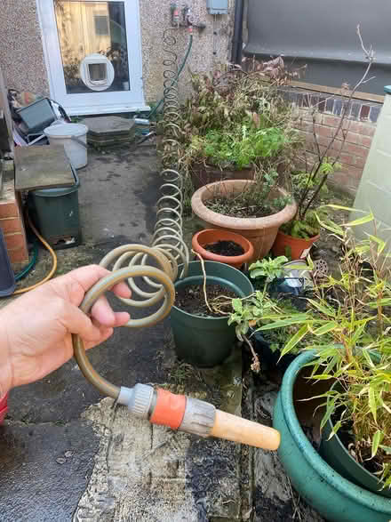 Photo of free Curly hose (Upper Norwood SE19) #1