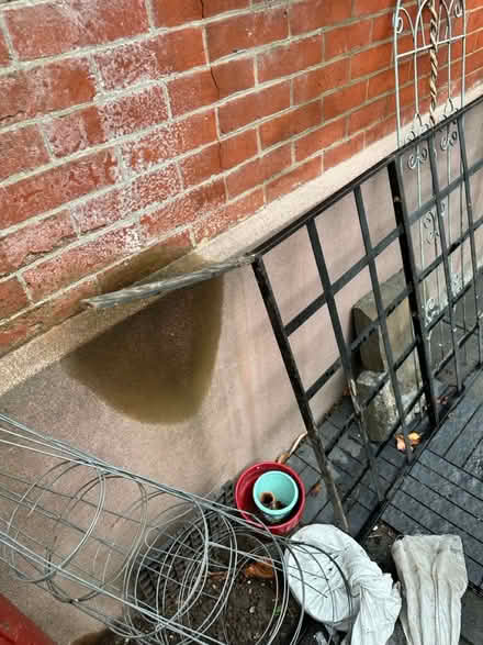 Photo of free Yard stuff (Brooklyn) #2