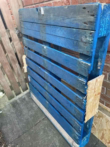 Photo of free Wooden pallet (blue) (Carlisle CA1) #1