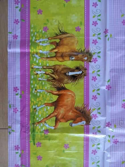 Photo of free Pony party plastic tablecloth (Odd Down) #2