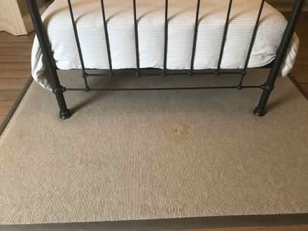 Photo of free Wool rug with border (Bath BA1) #1
