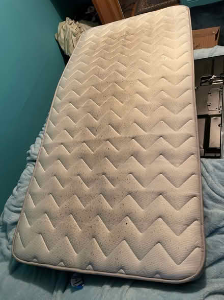 Photo of free Single Mattress (95x190cm) (TA11 6AN) #3