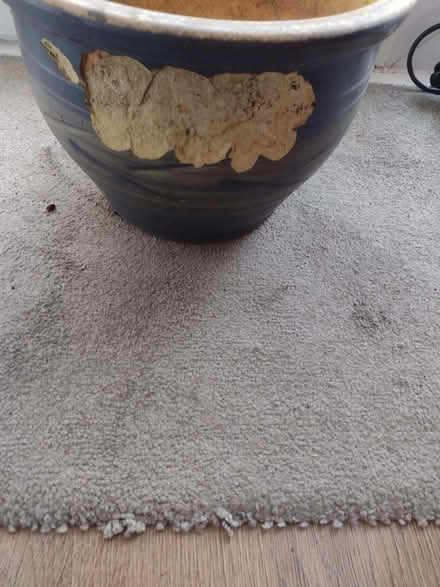 Photo of free Garden pot (Hatfield AL10) #2