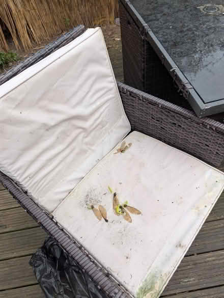 Photo of free Big rattan table garden set (East dulwich) #2
