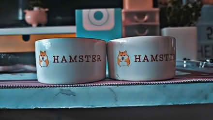 Photo of free Huge hamster bundle (HX2) #1