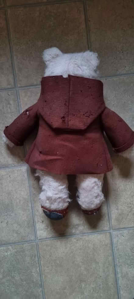 Photo of free Vintage Paddington bear (Hailsham BN27) #2