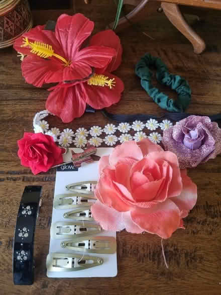 Photo of free A selection of hair clips etc (Coldean BN1) #1