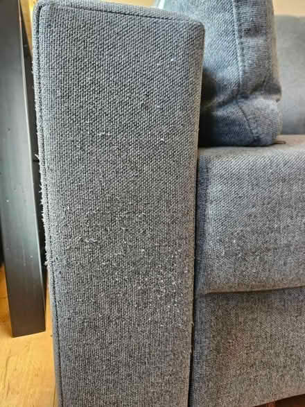 Photo of free Coccoon sofa bed (London NW3) #4