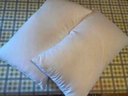 Photo of free Two feather pillows (AB25) #1