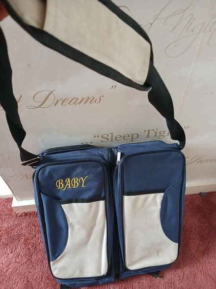 Photo of free Baby picnic bag/bed (BS7) #1