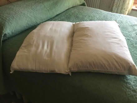 Photo of free 2 pillows (Little Salkeld CA10) #1