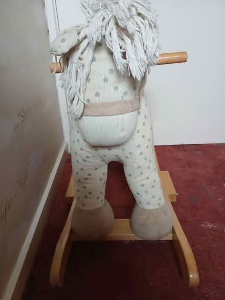 Photo of free Play horse (BS7) #2