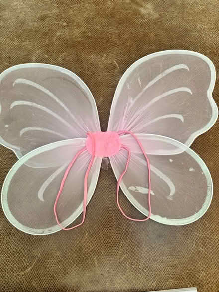 Photo of free Butterfly/Angel Wings (Fiesta gardens) #2