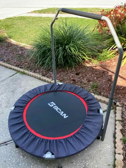 Photo of free Exercise trampoline for Adult (Palm harbor, fl) #1