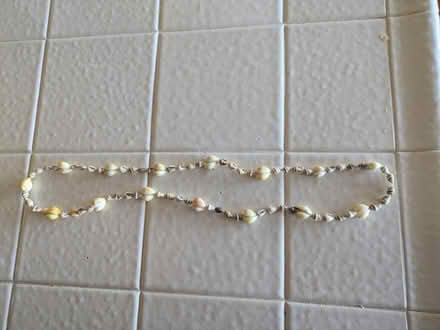 Photo of free Fake shell necklace (East foothills) #1