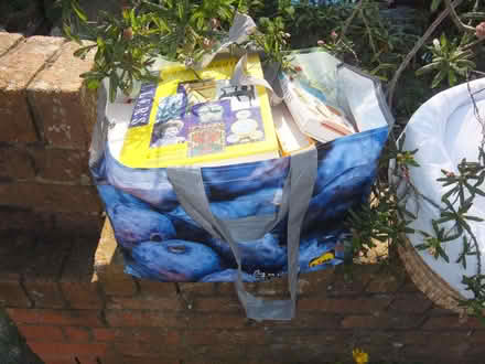 Photo of free A lot of children and about Antiques books (Mangotsfield BS16) #3