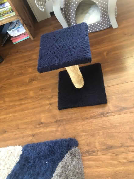 Photo of free Small cat post/seat (Bedfont) #1
