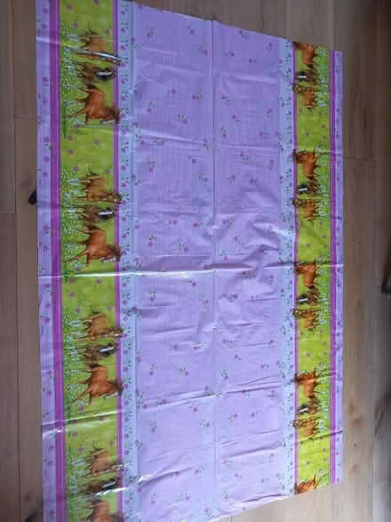 Photo of free Pony party plastic tablecloth (Odd Down) #1