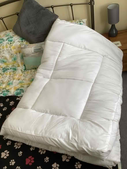 Photo of free Mattress topper for double bed (BN16 2ER) #2